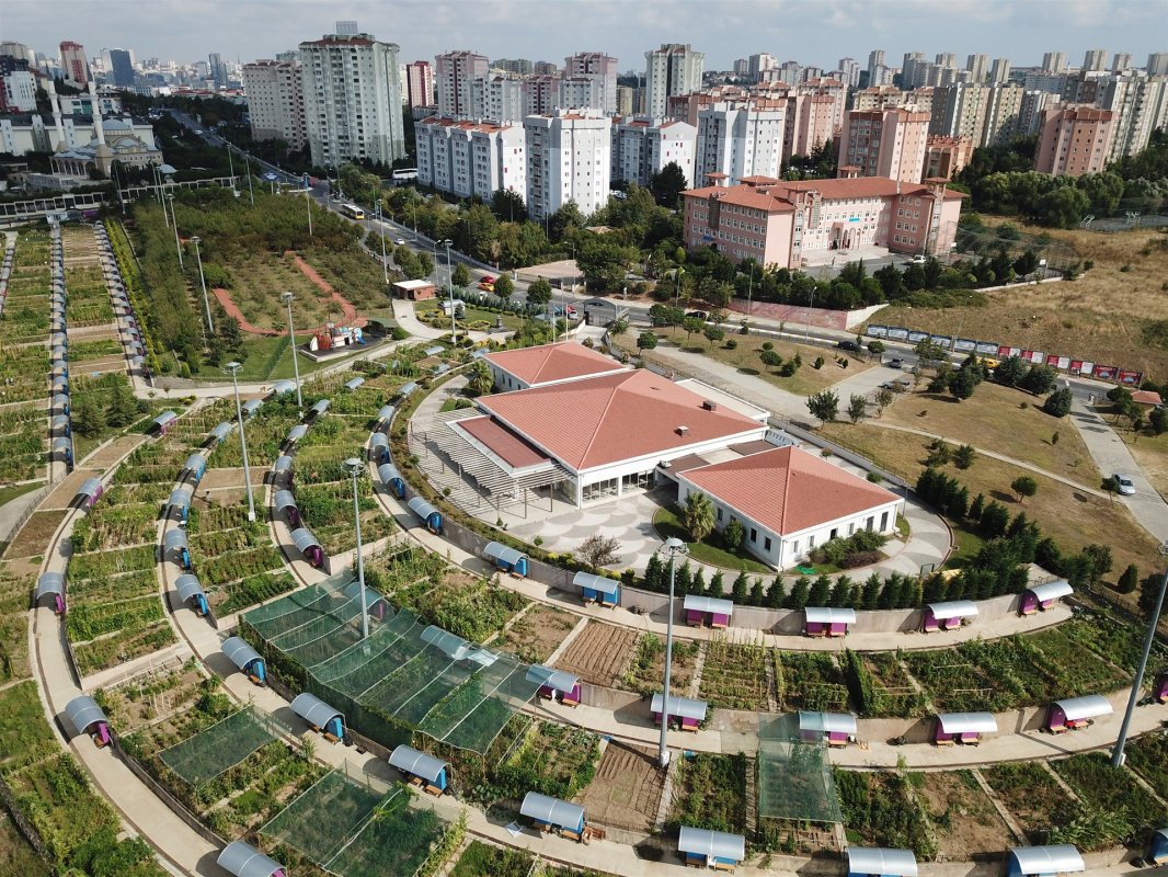 Küçükçekmece'nin şehrin ortasındaki doğa vahası: Hobi Bahçesi