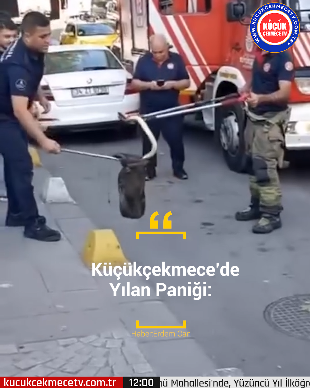 Küçükçekmece’de Yılan Paniği: Okul Önünde Bulundu